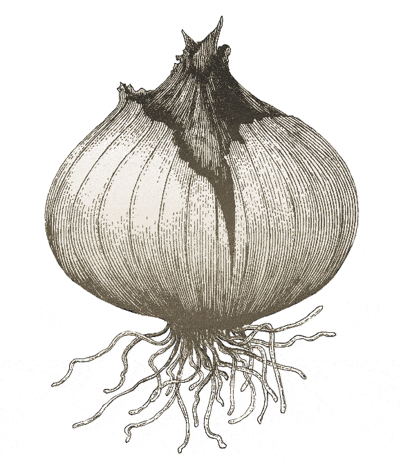 moulting